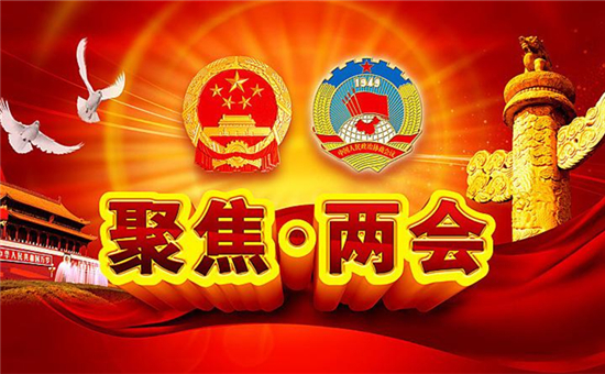 觀點集錦！兩會上電池行業(yè)傳出了那些重磅級聲音？