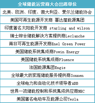 出?！袊鴥?chǔ)能企業(yè)的現(xiàn)實(shí)選擇