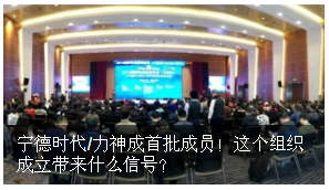 寧德時代/力神成首批成員！電動航空標(biāo)委會成立帶來什么信號？