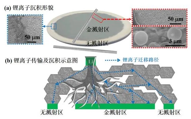 中科院關(guān)于非對(duì)稱結(jié)構(gòu)固態(tài)電池研究取得新進(jìn)展