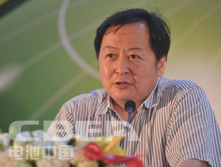 王仲穎：中國可再生能源發(fā)展展望與儲能機遇